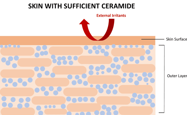 Ceramide Moisturiser for Eczema Skin
