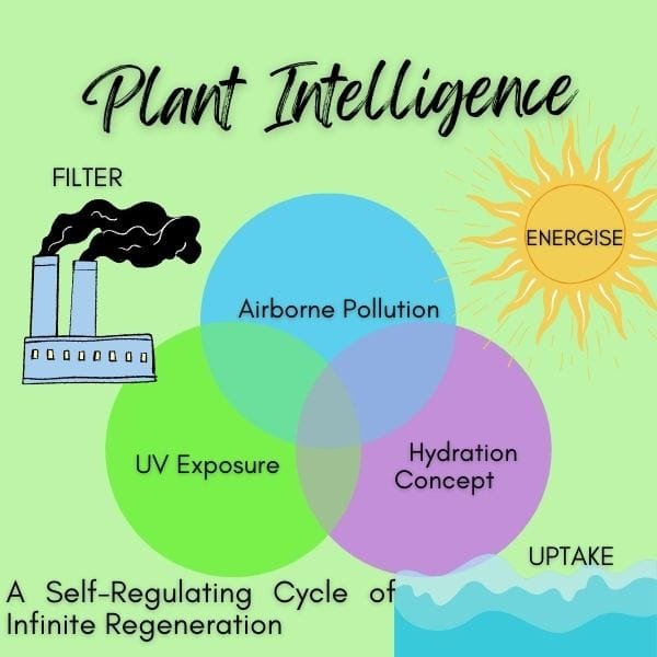 Plant Intelligence